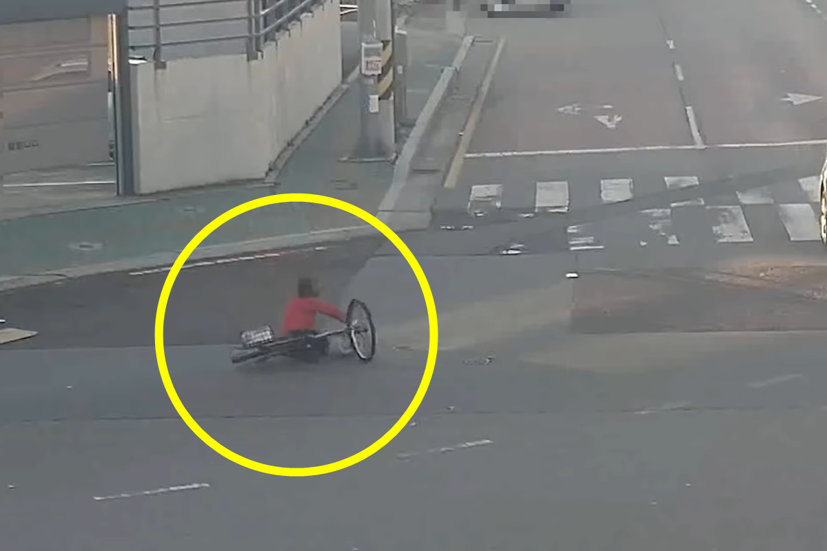 조선일보  역주행 중 혼자 넘어지고는 치료비 2200만 원을 요구한 사고.png