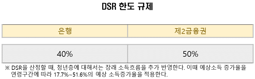 DSR 규제.png