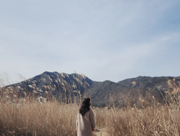 화면 캡처 2023-04-05 114339.png