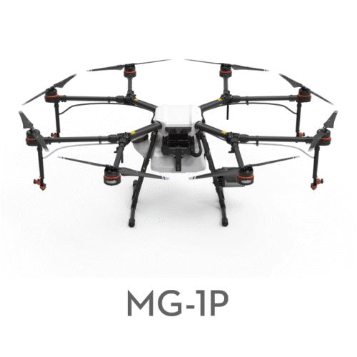 1906 Ana int 1 1.png