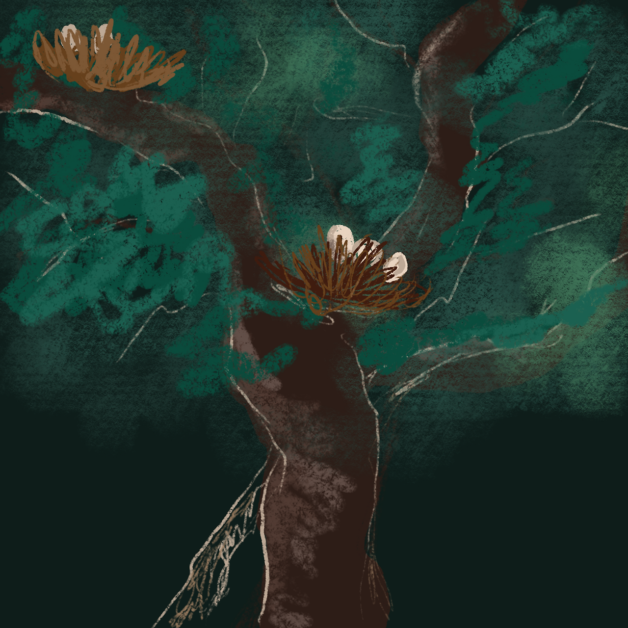 Untitled_Artwork 19.png