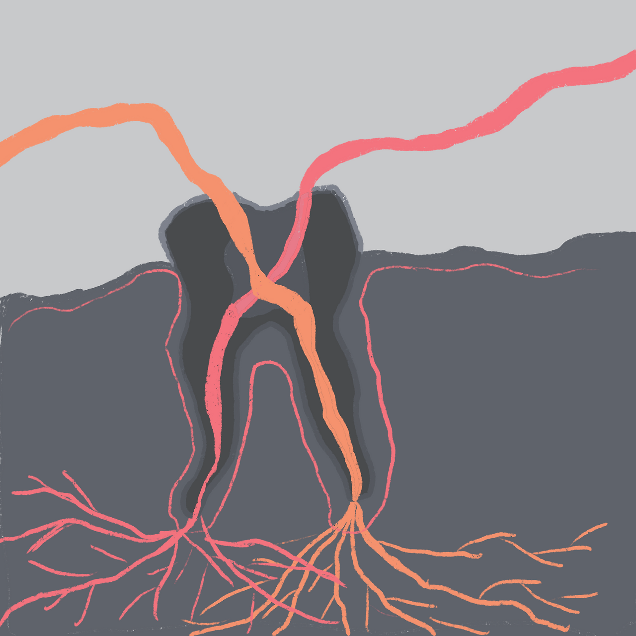 Untitled_Artwork 16.png