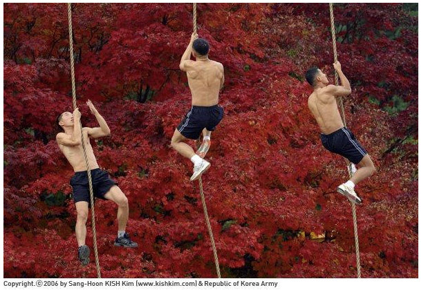 스크린샷 2023-06-19 131228.png