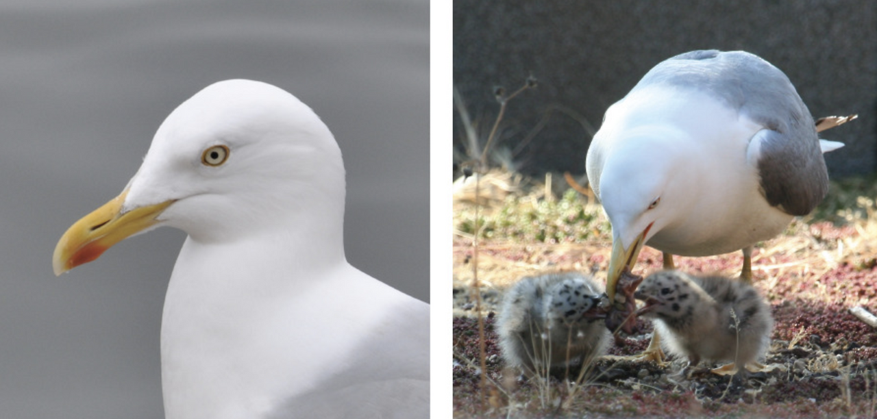 스크린샷 2024-09-22 오전 10.31.03.png