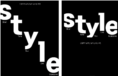 스타일블랙.png