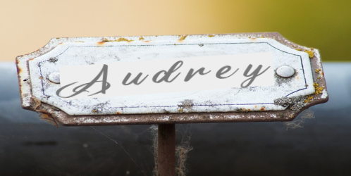 제목을 입력해주세요_-002.png