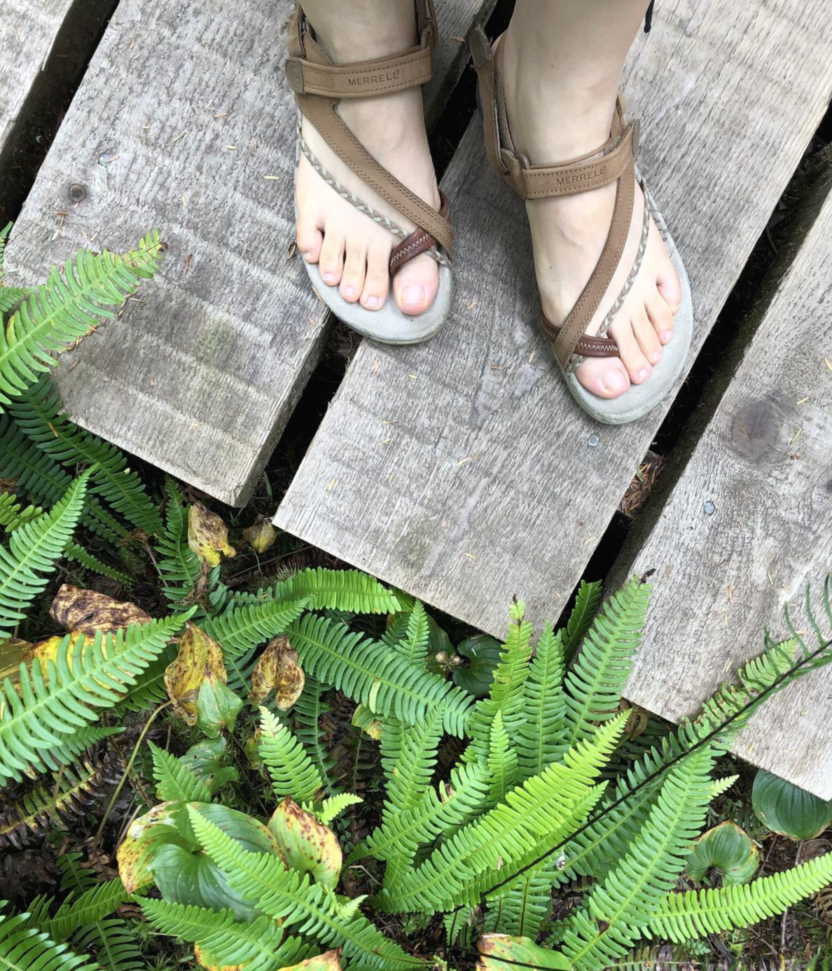 다운로드 (1).png