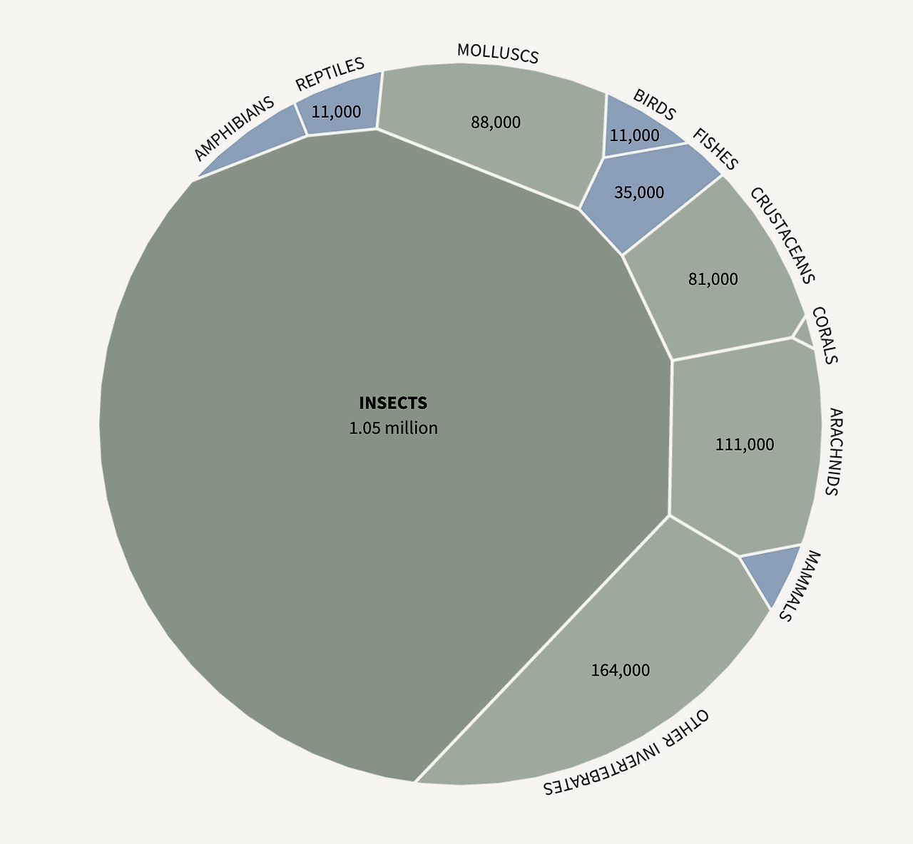 Screenshot 2023-11-06 at 12.33.42 PM.png