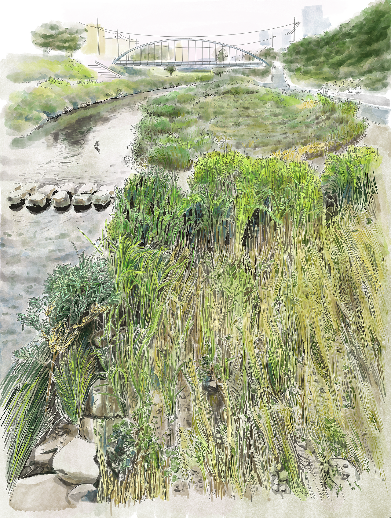 50_사이즈 조절.png