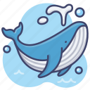 whale_sea_animal_ocean-128.png