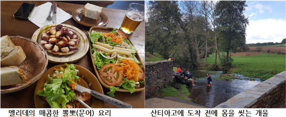 GOMCAM 20241024_1606100419.png