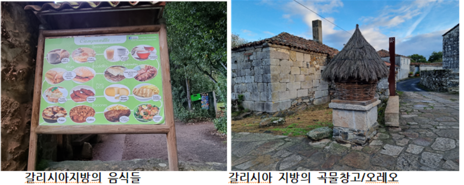 GOMCAM 20241024_1607140786.png