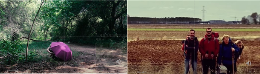 GOMCAM 20241023_2238280262.png