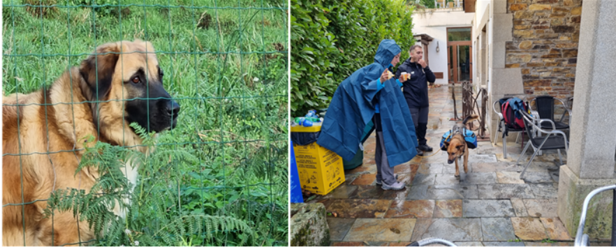 GOMCAM 20241023_1500150847.png