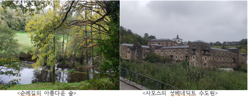 GOMCAM 20241024_1414560673.png