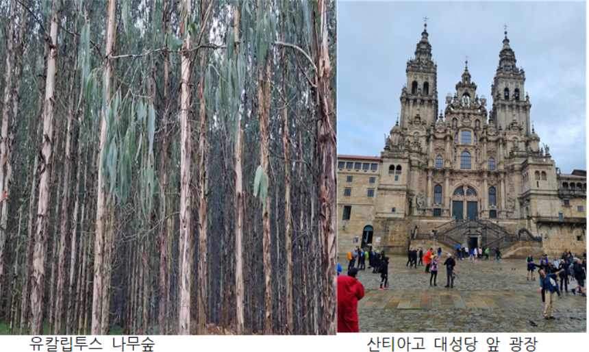 GOMCAM 20241024_2201190189.png