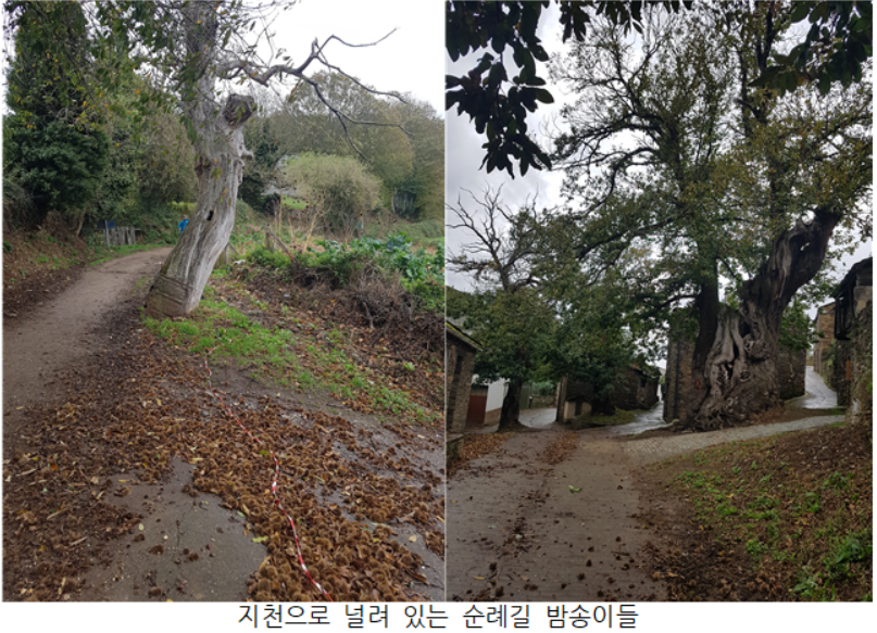 GOMCAM 20241024_1023240438.png