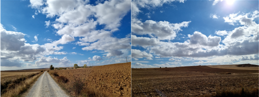 GOMCAM 20241022_2034490818.png