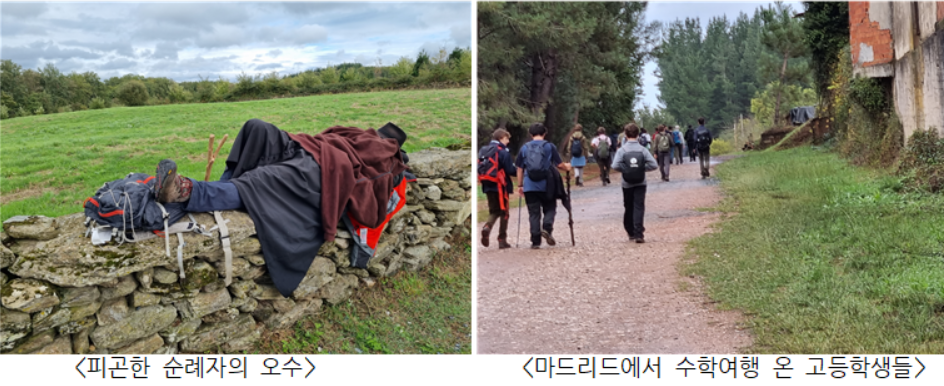 GOMCAM 20241024_1528030085.png