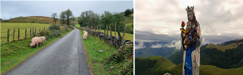 GOMCAM 20241005_1715340875.png