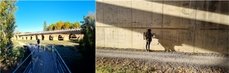 GOMCAM 20241023_0722570711.png