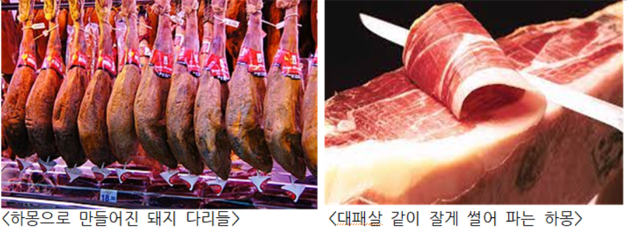 GOMCAM 20241024_1036290182.png