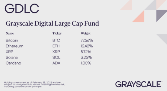 스크린샷 2025-03-04 오전 7.42.09.png