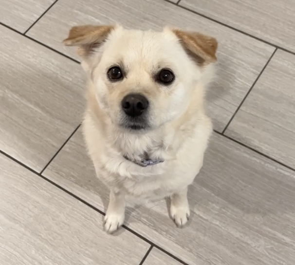 Screenshot 2023-12-26 at 11.58.25 AM.png