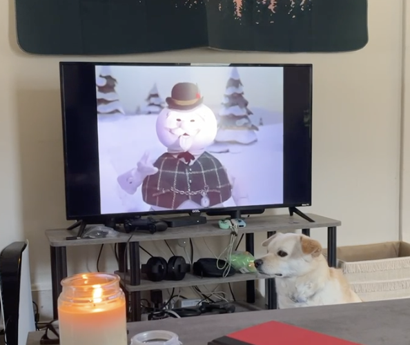 Screenshot 2023-12-26 at 11.46.36 AM.png