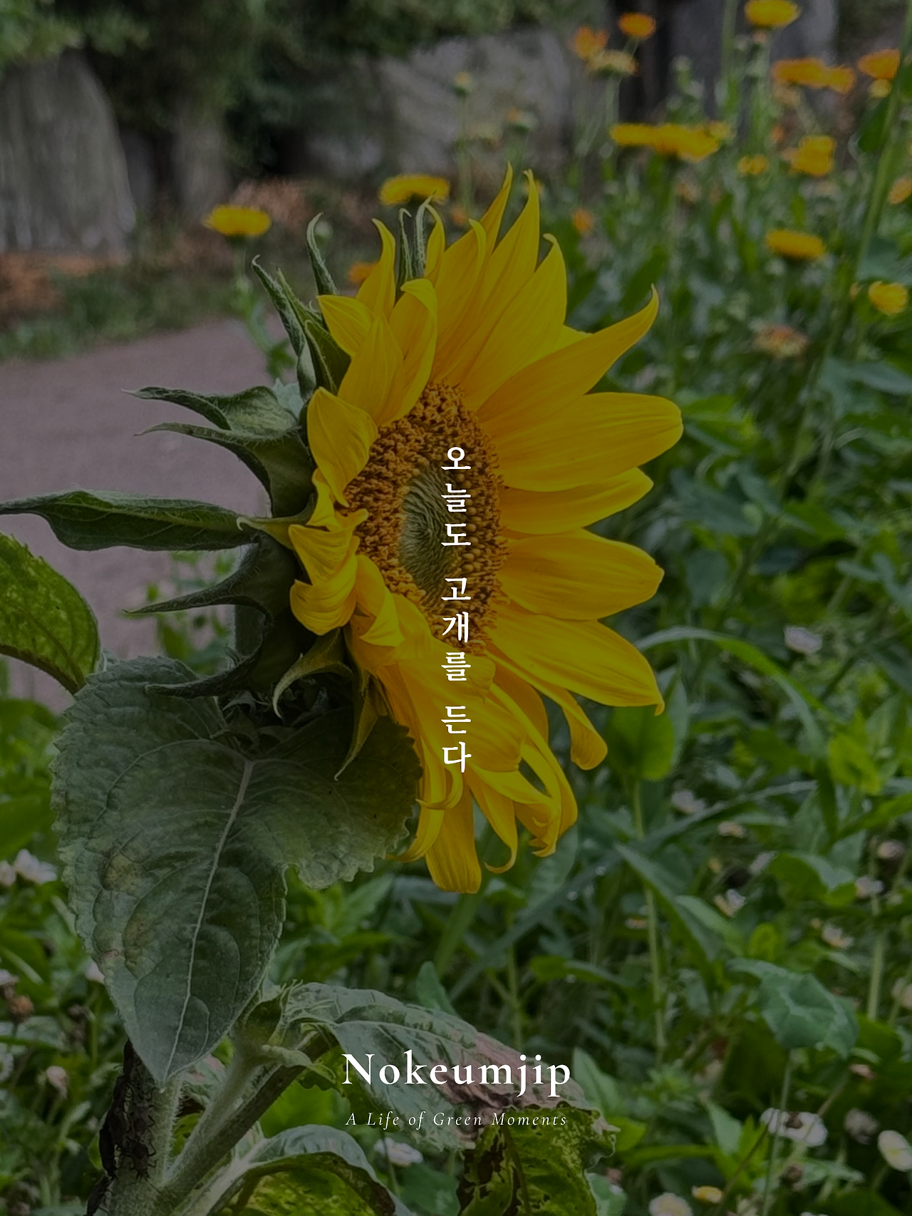 619 발행 글 있음.png