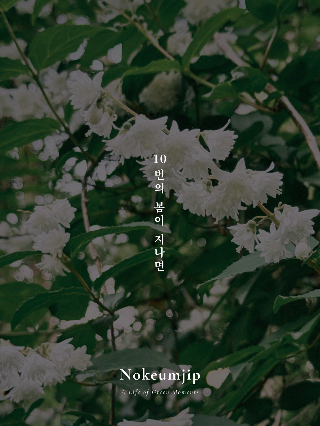 10번의 봄 글.png