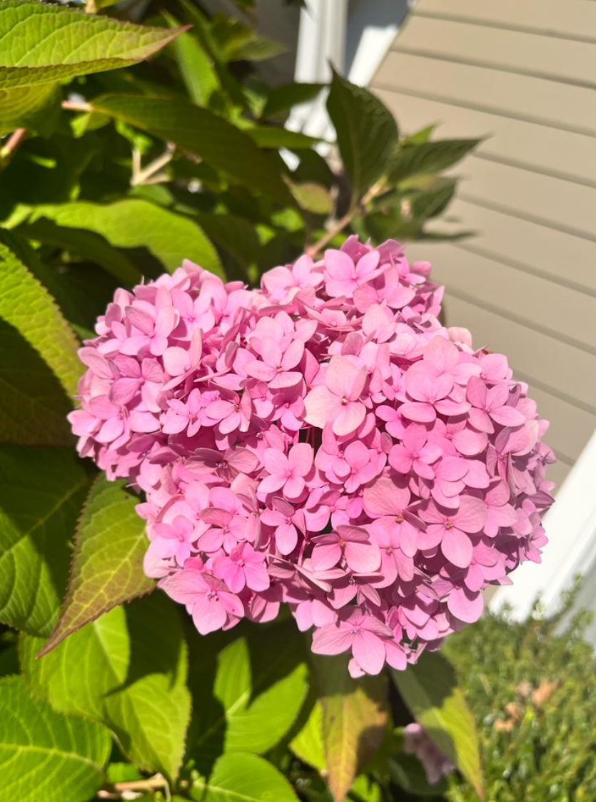 Screenshot 2023-10-27 192531.png