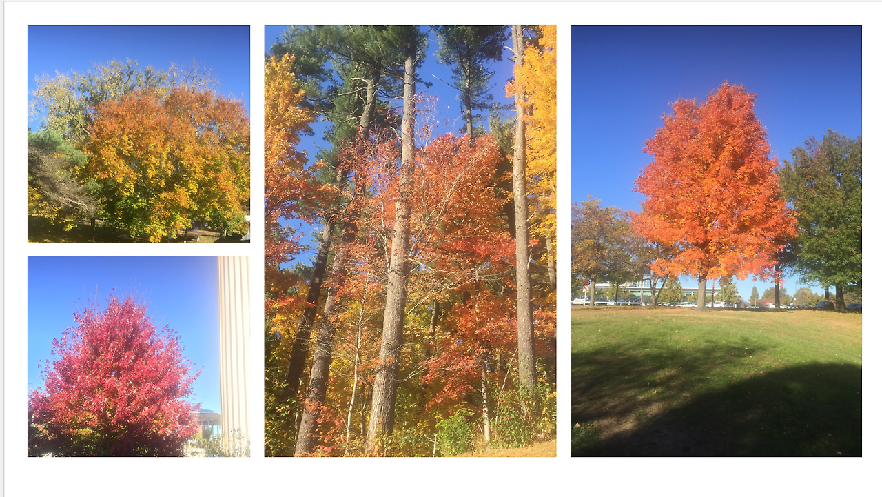 Screenshot 2023-03-03 210712.png