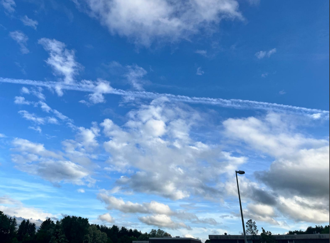 Screenshot 2025-05-30 135015.png