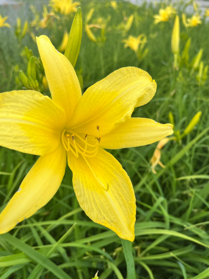 Screenshot 2023-07-06 100555.png