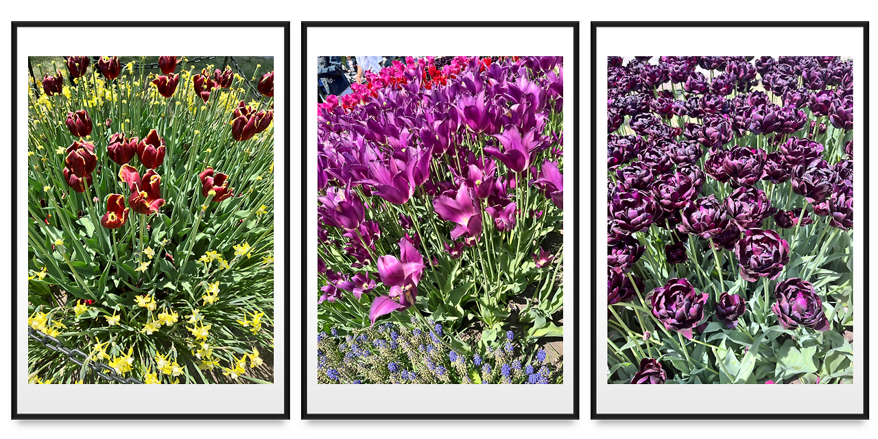 Screenshot 2023-05-15 124537.png