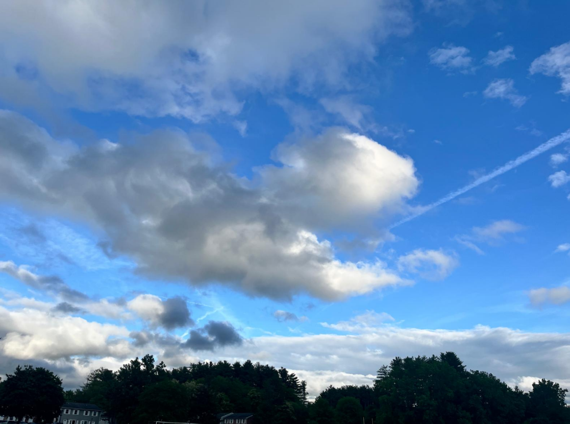 Screenshot 2025-05-30 135007.png