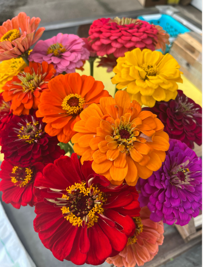 Screenshot 2023-07-29 183509.png