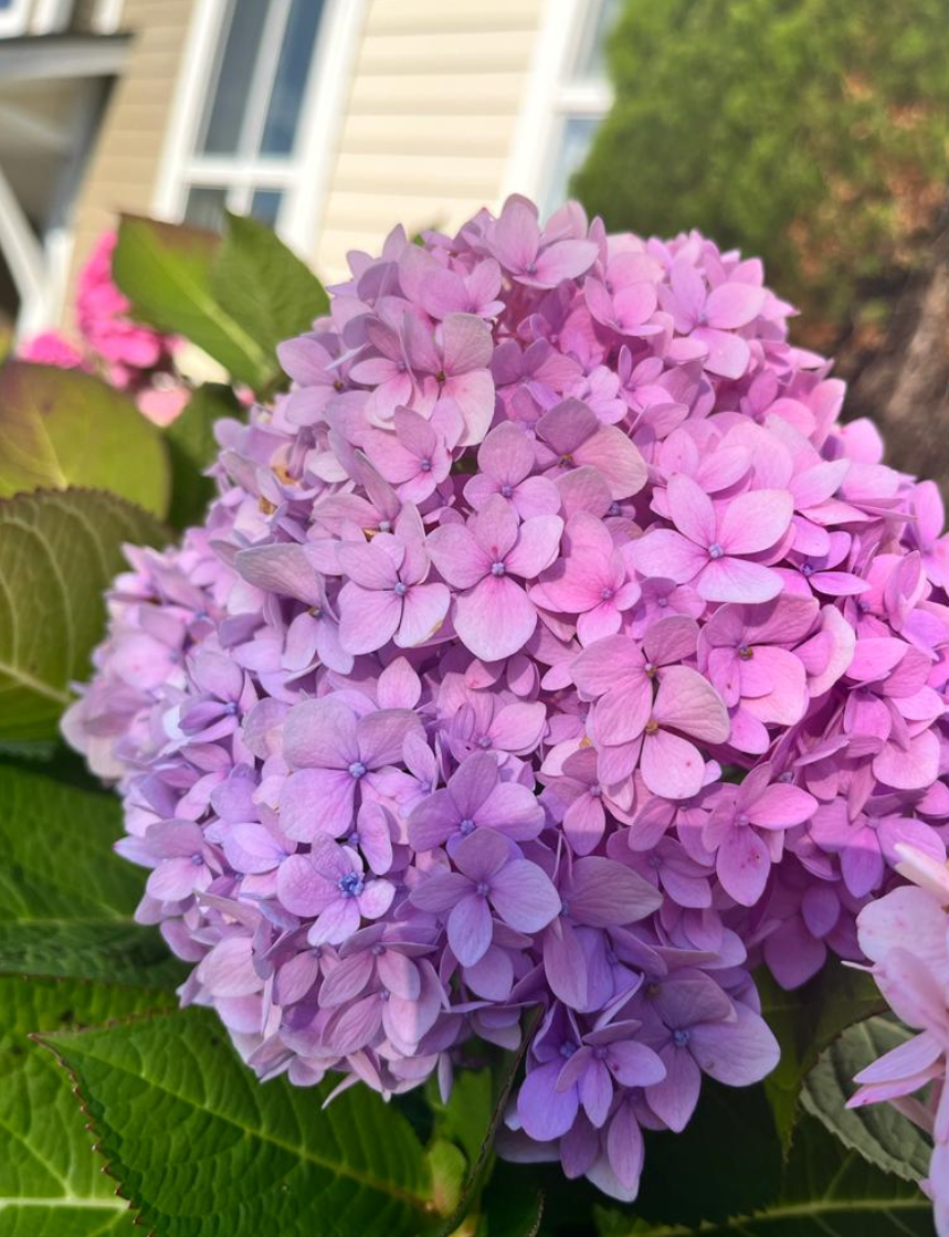 Screenshot 2023-10-27 192618.png