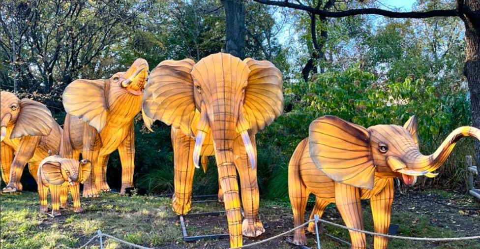 Screenshot 2023-11-29 214624.png