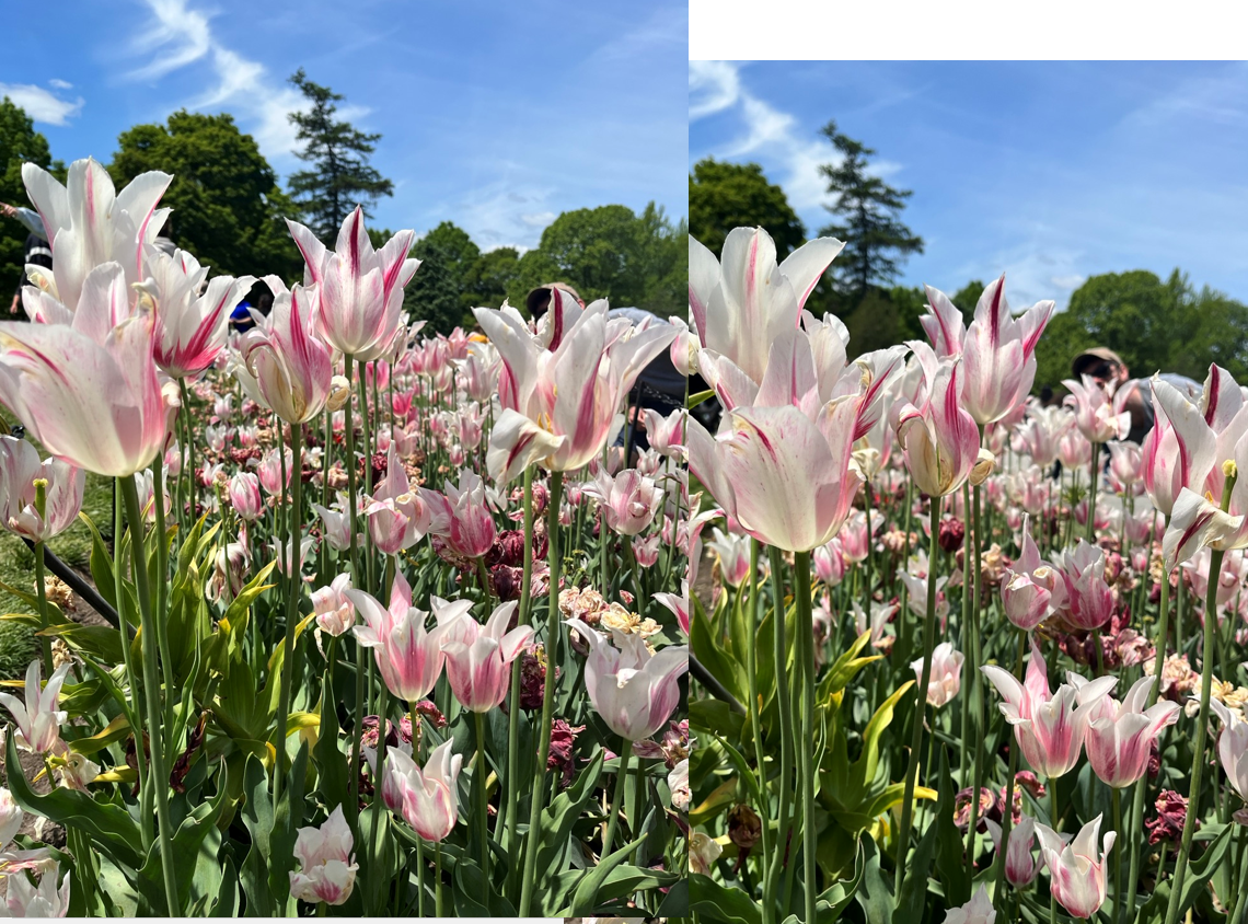 Screenshot 2023-05-15 123824.png