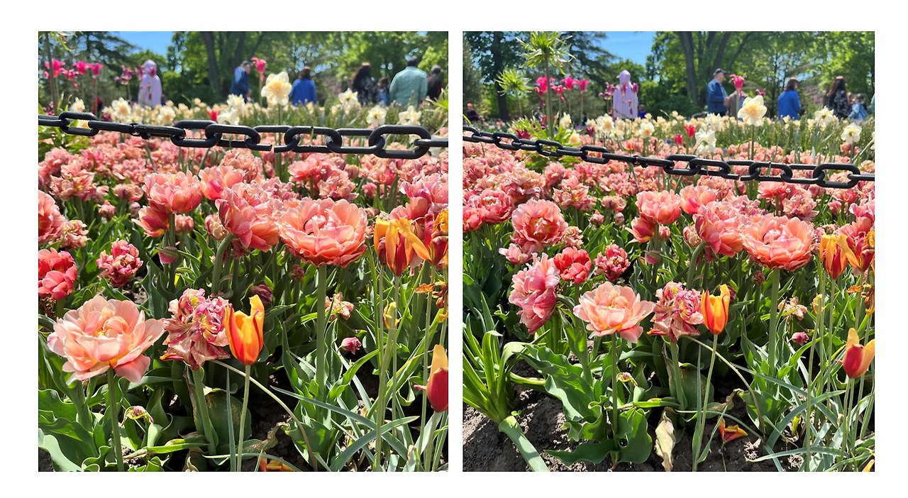 Screenshot 2023-05-15 123942.png