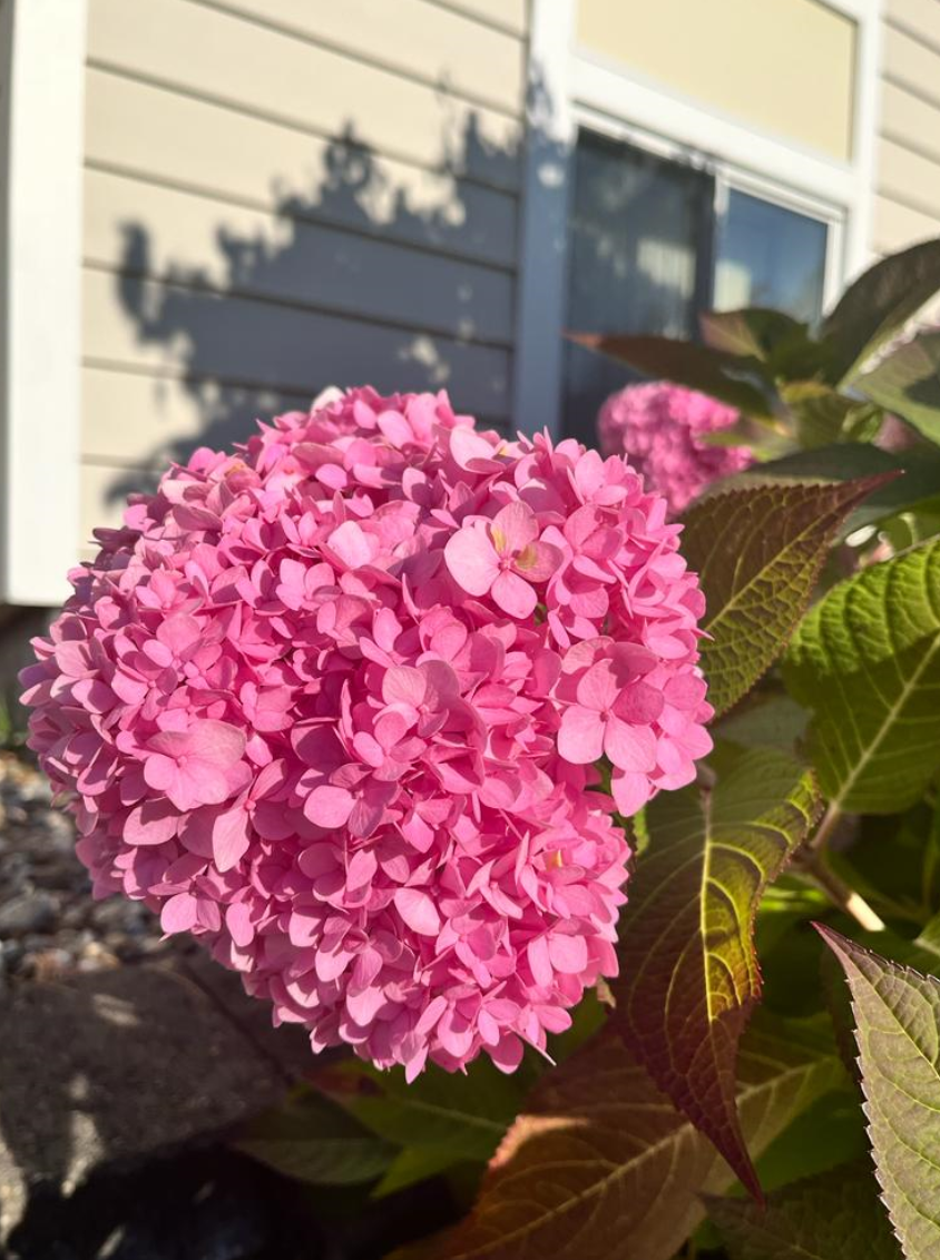 Screenshot 2023-10-27 192645.png