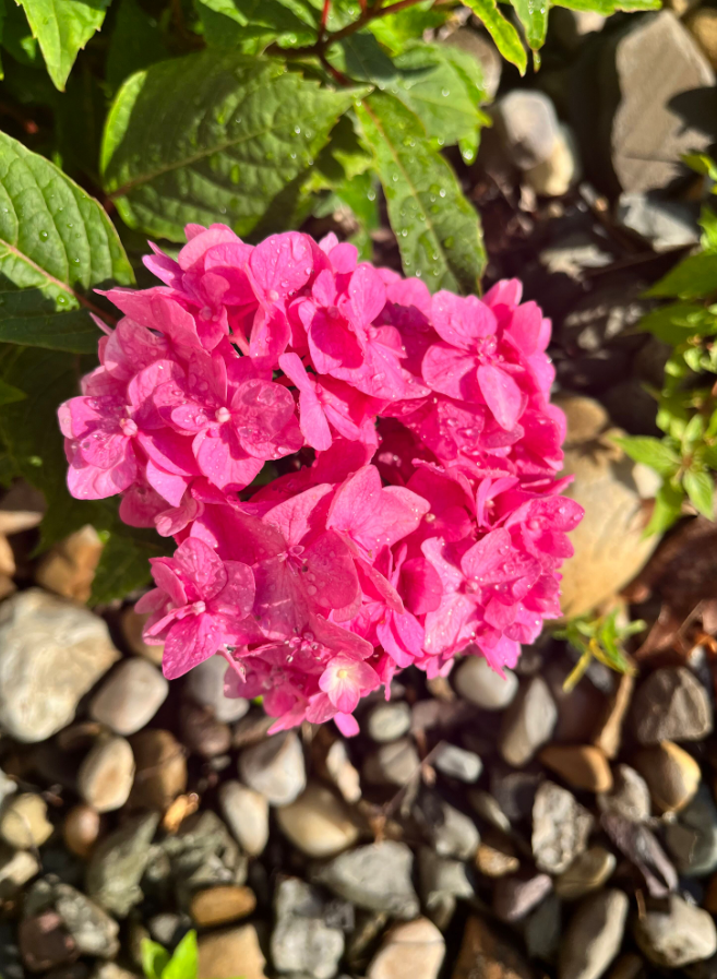 Screenshot 2023-07-14 133306.png