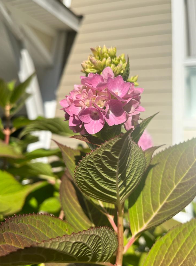 Screenshot 2023-10-27 192546.png