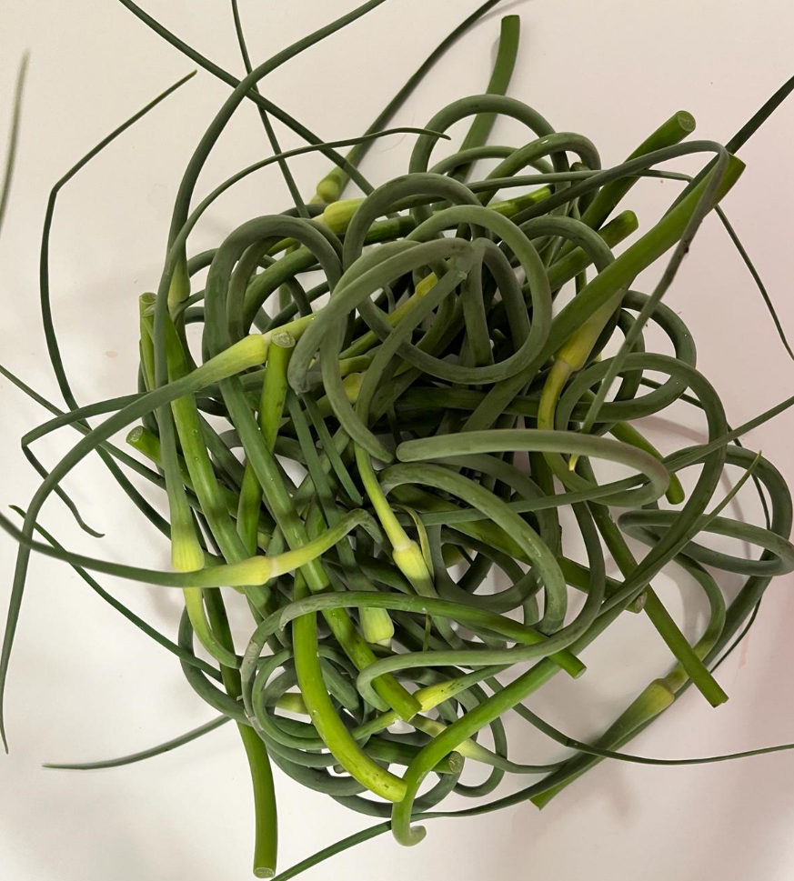 Screenshot 2024-06-13 154300.png