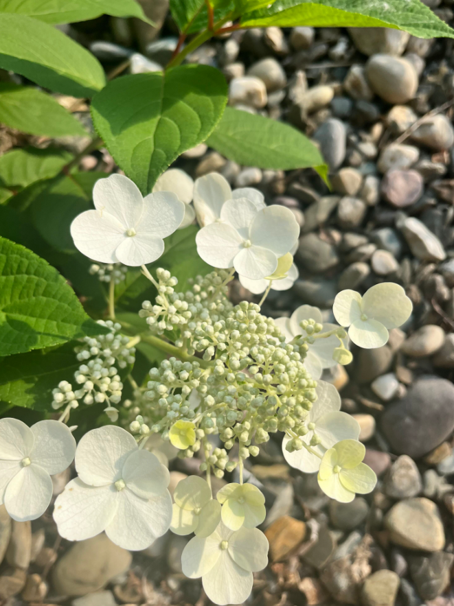 Screenshot 2023-07-12 210744.png