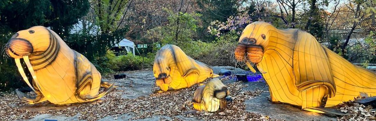 Screenshot 2023-11-29 214657.png