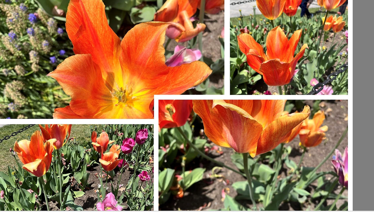 Screenshot 2023-05-15 130303.png