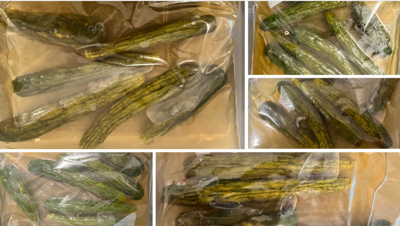 Screenshot 2023-07-02 210333.png